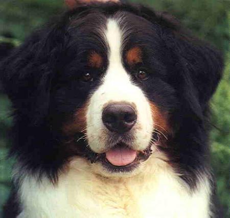 Plus jamais �a!!!!